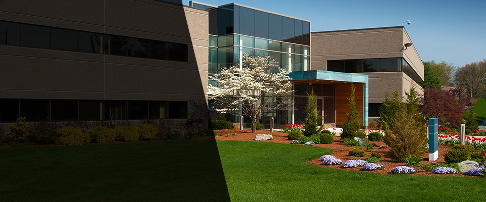 Beach Haven Landscapers