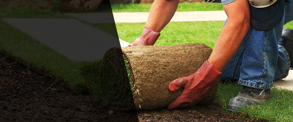 Beach Haven Landscapers